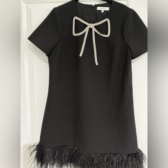 Likely Dresses & Skirts - Likey Crystal Bow Dress with Feather Trim